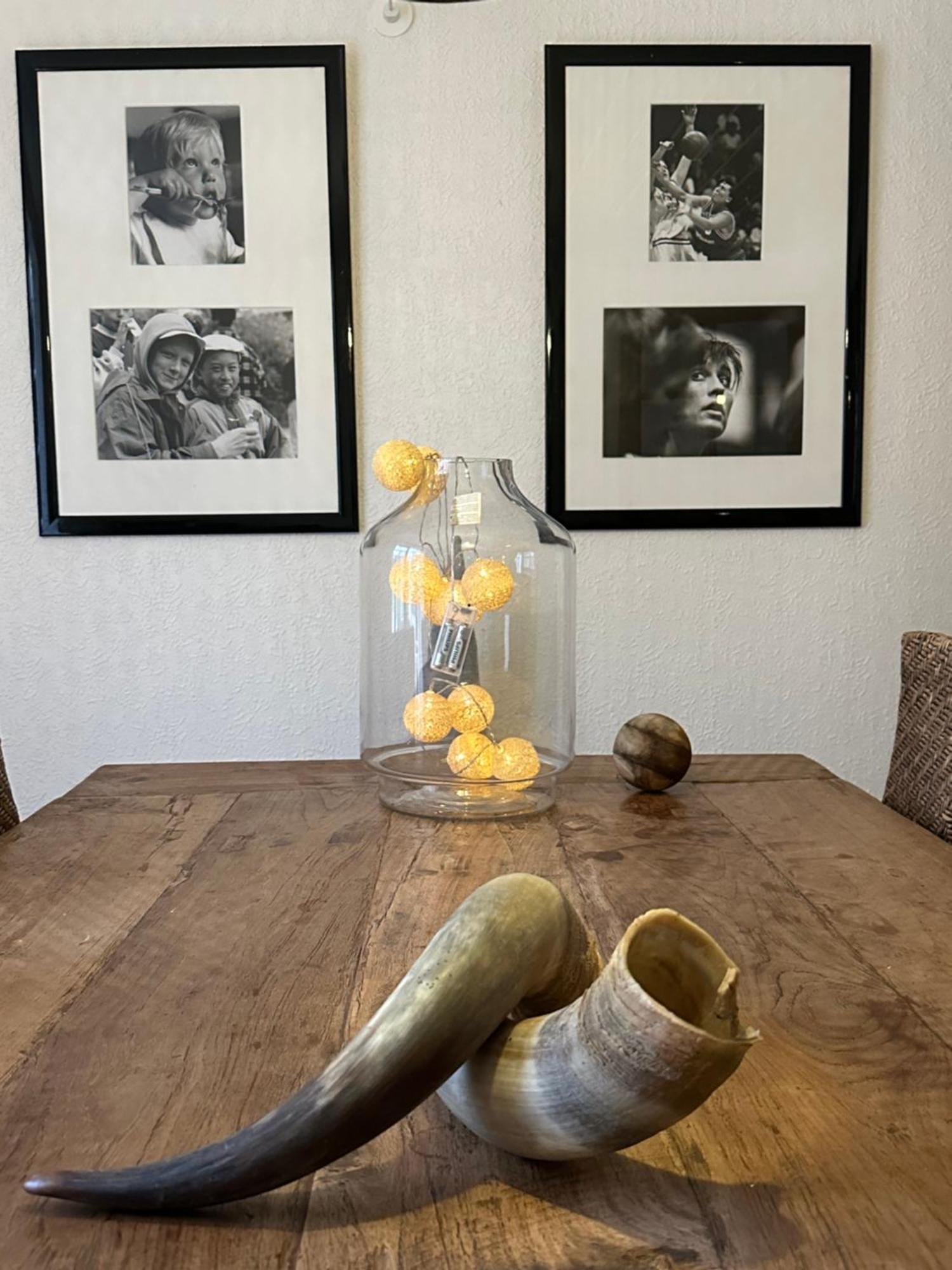 Troldegaarden Guesthouse 코이에 외부 사진